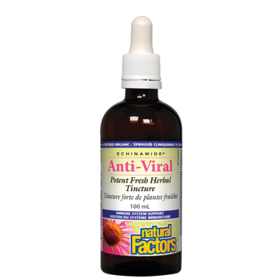 Natural Factors Echinamide Anti-Viral Herbal Tincture (100 mL)